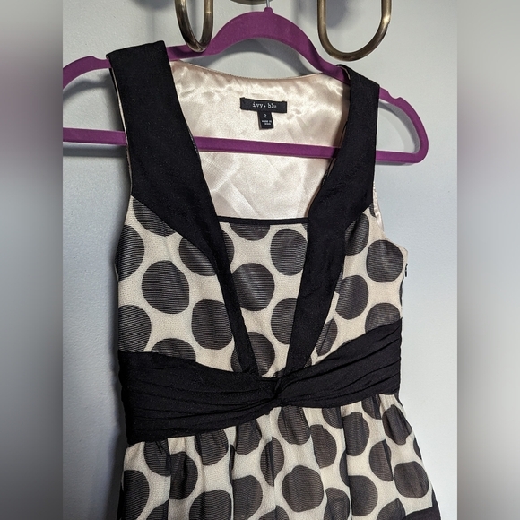 Ivy + blu polka dot dress - Picture 10 of 10